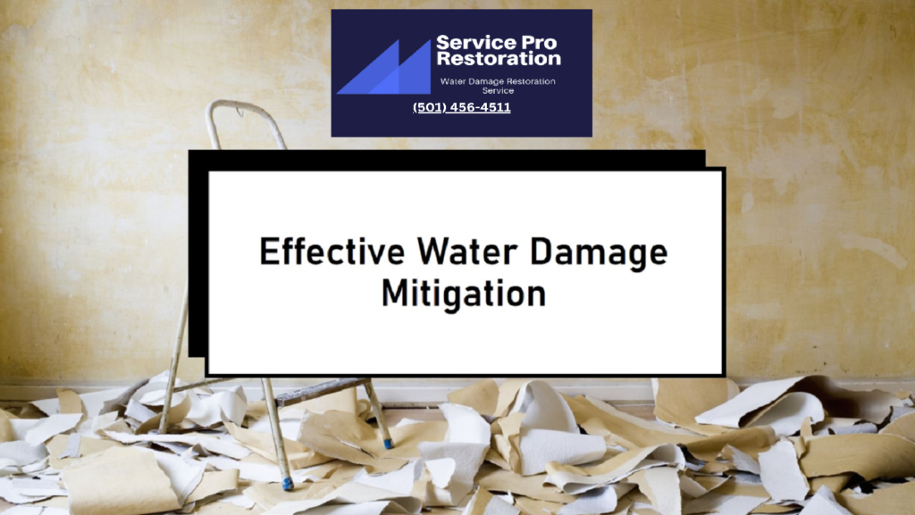 water mitigation service